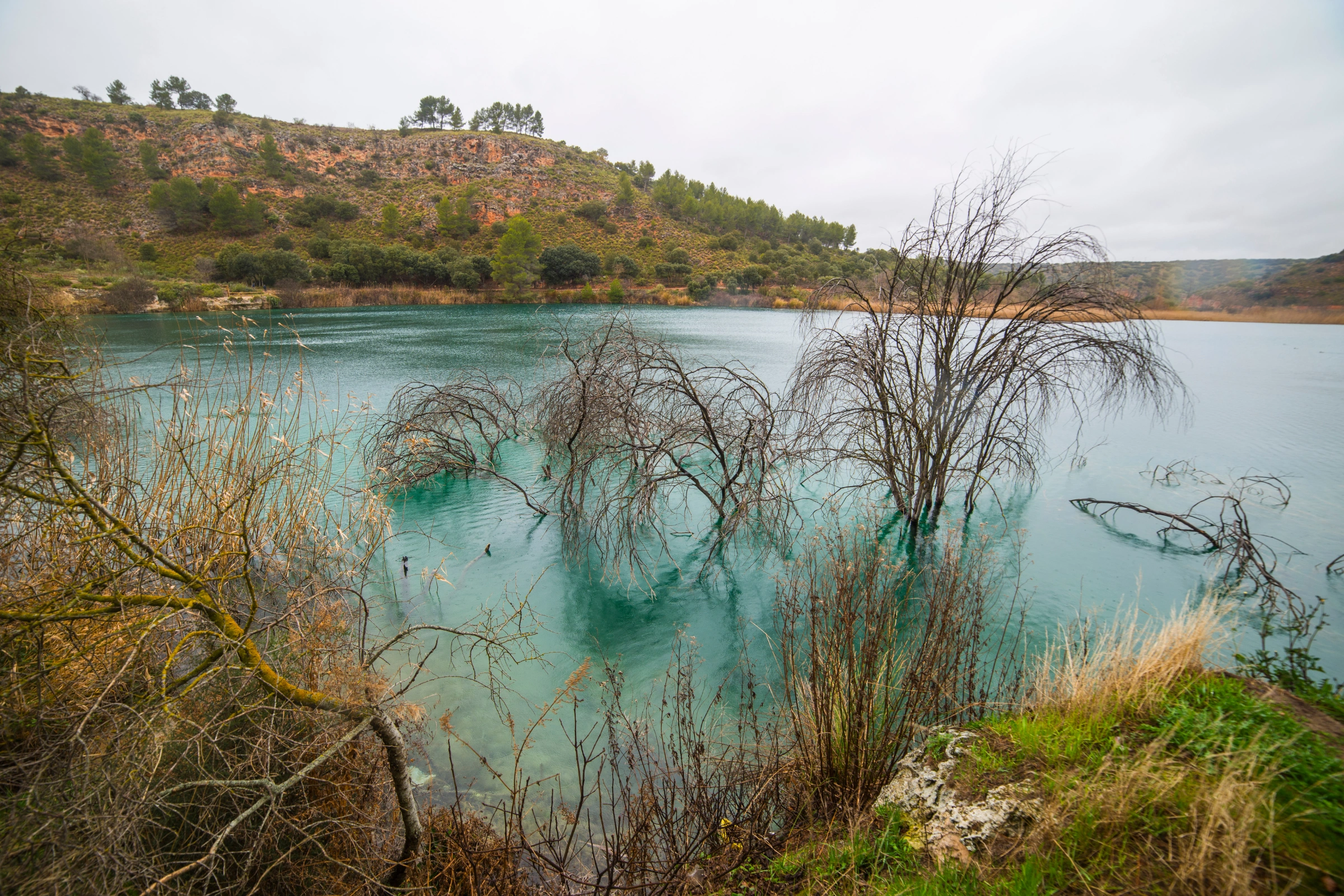 Laguna_Azul_Camp[1].webp